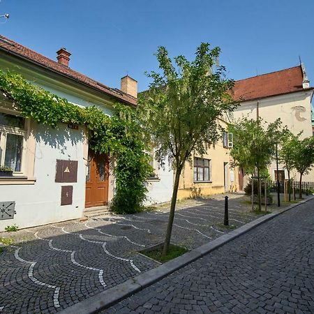 Krejcovstvi Διαμέρισμα Mělník Εξωτερικό φωτογραφία